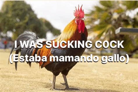 gif mamando panocha